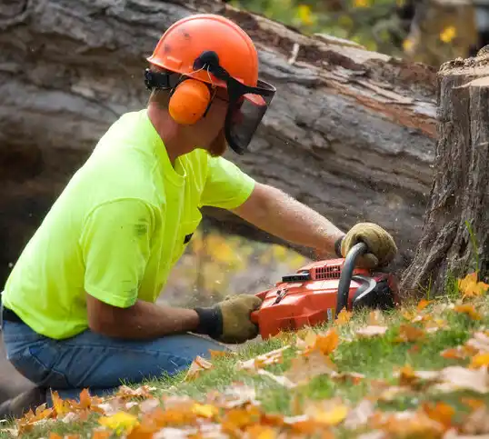 tree services Mississippi Valley State University